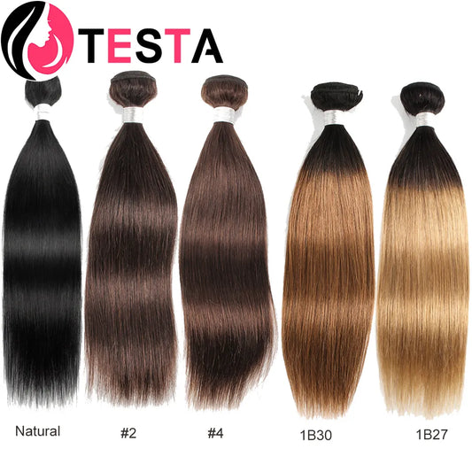 Straight Human Hair Bundles 95g/Pcs Natural Color Ombre Honey Blonde Remy Hair For Women Vietnamese Hair Extensions 10-26 Inch