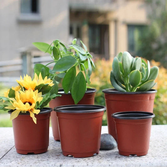 50/20pcs Plastic Flower Pot Cultivate Seedlings  Flowerpots  Nursery Root Growing  Box Container Plant Home Garden Supplies